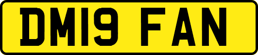 DM19FAN