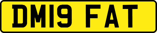 DM19FAT