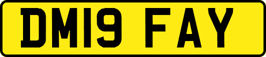 DM19FAY