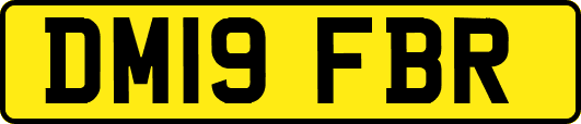 DM19FBR