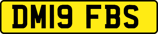 DM19FBS