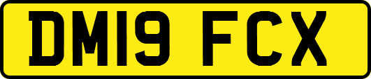 DM19FCX