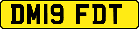 DM19FDT