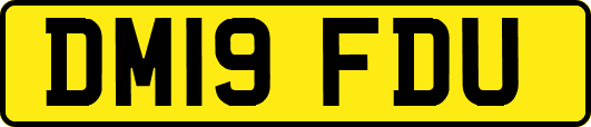 DM19FDU