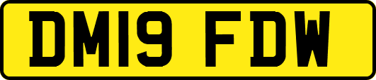 DM19FDW