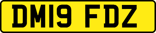 DM19FDZ
