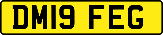 DM19FEG