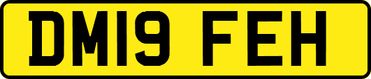 DM19FEH
