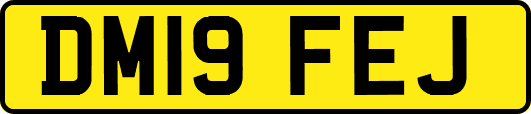 DM19FEJ
