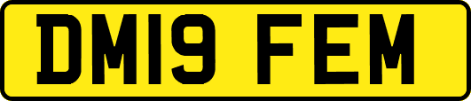 DM19FEM