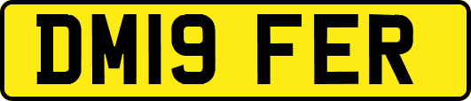 DM19FER