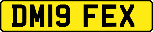 DM19FEX