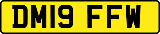 DM19FFW