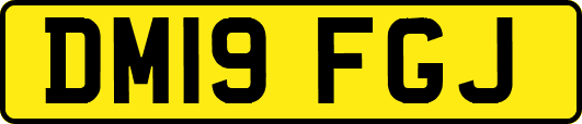 DM19FGJ