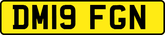 DM19FGN