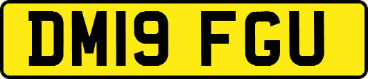 DM19FGU
