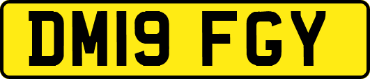 DM19FGY
