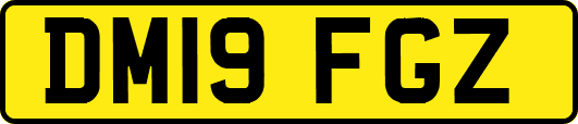 DM19FGZ