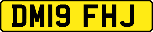 DM19FHJ