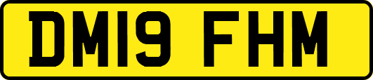 DM19FHM