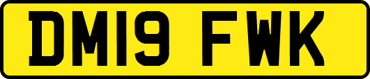 DM19FWK