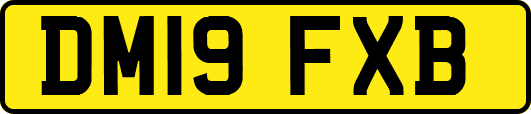 DM19FXB