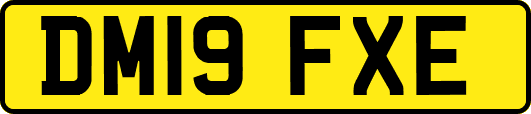 DM19FXE