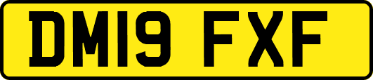 DM19FXF