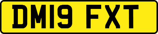 DM19FXT