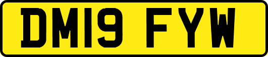 DM19FYW