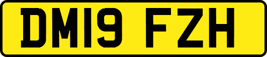 DM19FZH