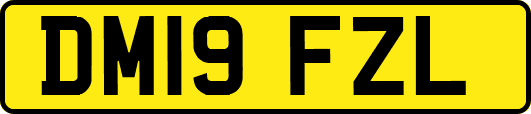 DM19FZL