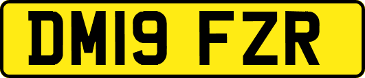 DM19FZR