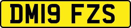 DM19FZS