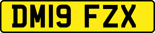 DM19FZX