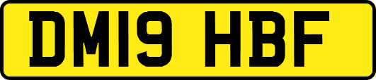 DM19HBF