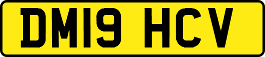 DM19HCV