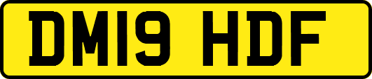 DM19HDF