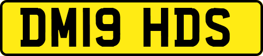 DM19HDS