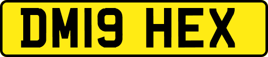 DM19HEX