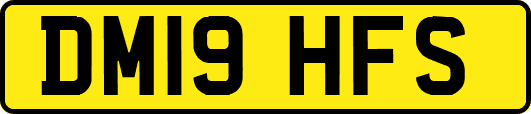 DM19HFS