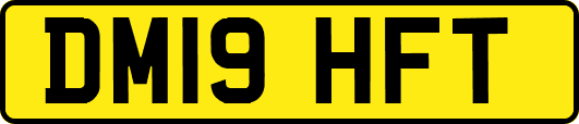 DM19HFT