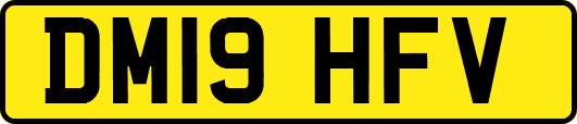 DM19HFV