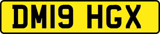 DM19HGX