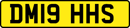 DM19HHS