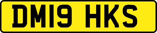 DM19HKS