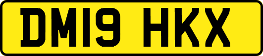 DM19HKX