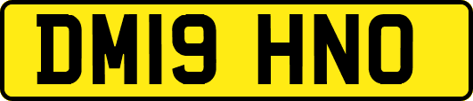 DM19HNO