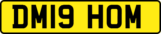 DM19HOM