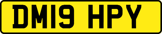 DM19HPY